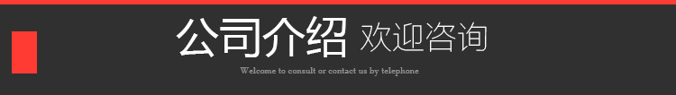 公司介2