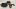 autozap75