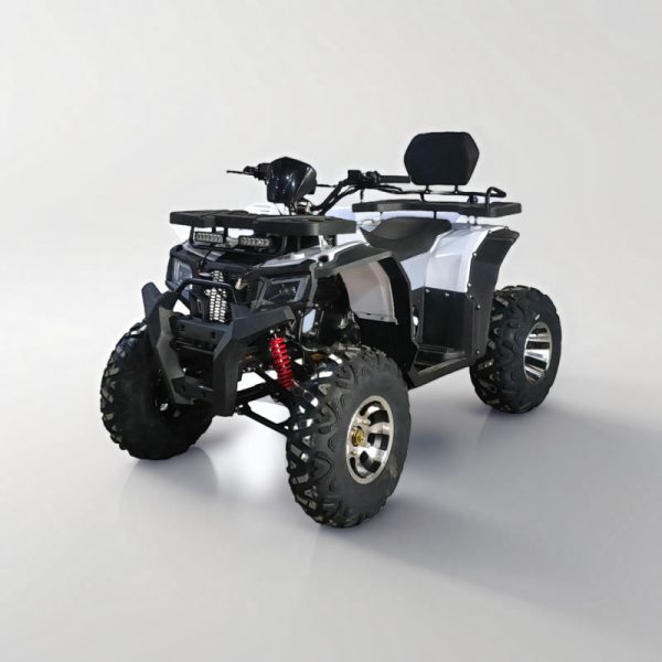 Новый 200-кубовый автомат, пляжный автомобиль, внедорожный мотоцикл с задним приводом GY6 Daqi Beach