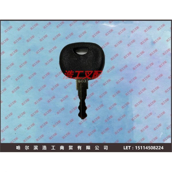 0009730441 Вилочный погрузчик Linde H18H20H30H45H50 603 ключ зажигания ключ зажигания
