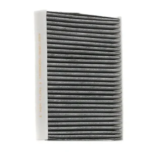 RIDEX 424I0060 Pollen filter